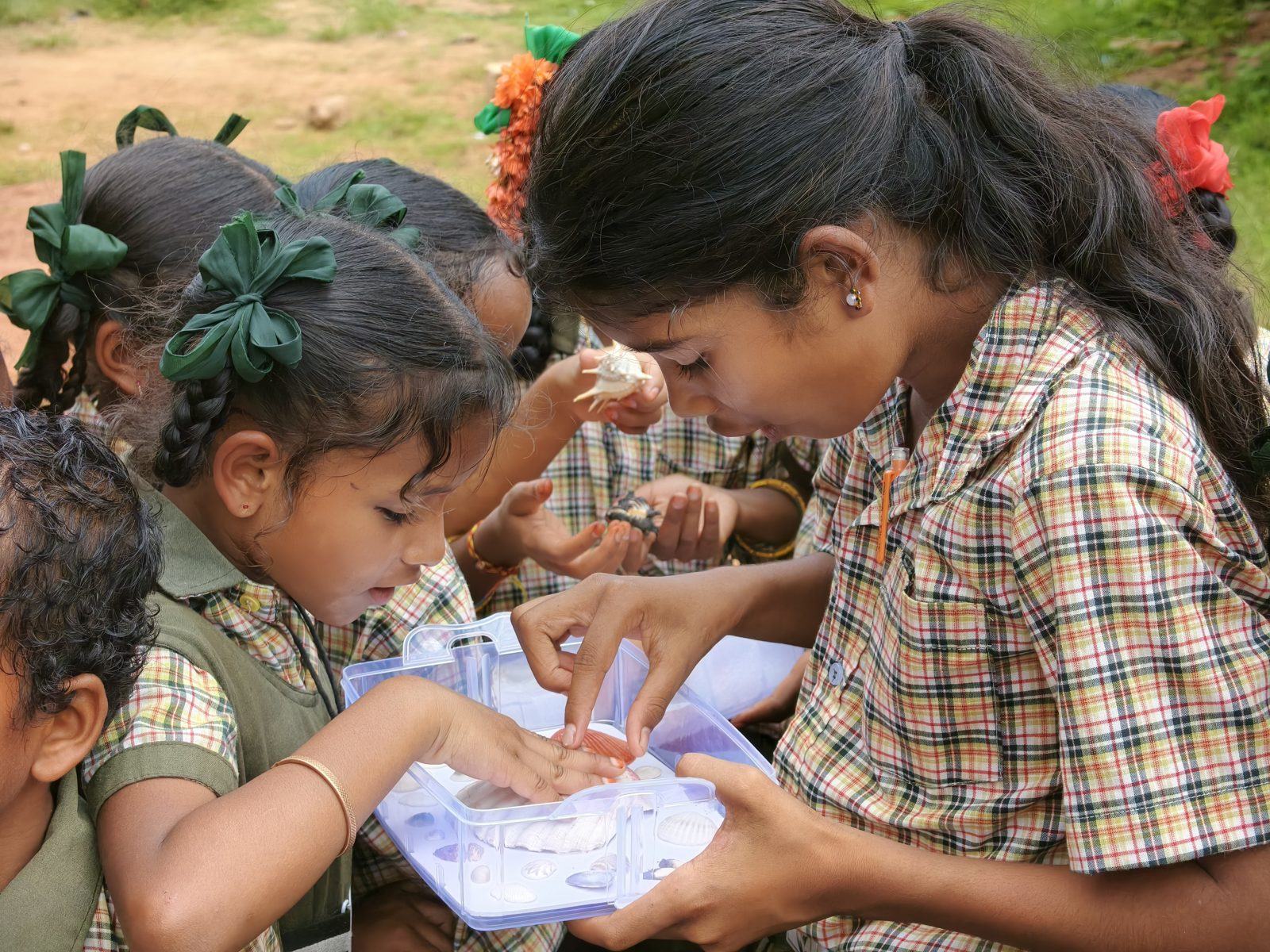 Two schoolgirls handle seashells from a specimen box