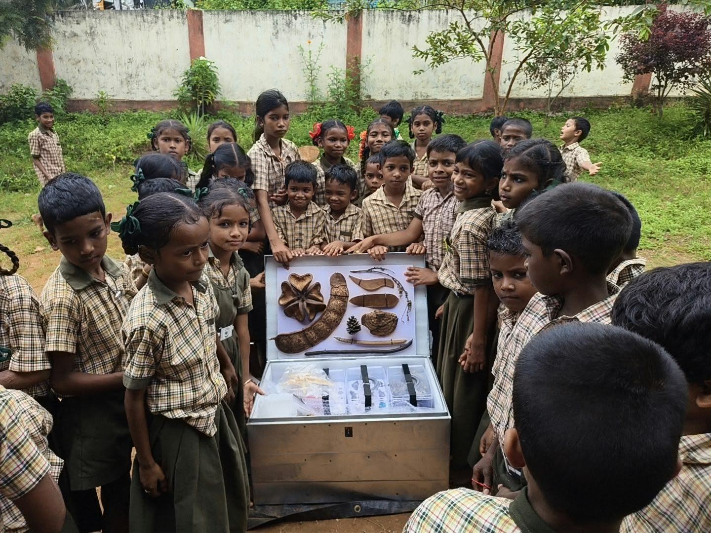 Schoolchildren gather around the open museum trunk of seeds and pods