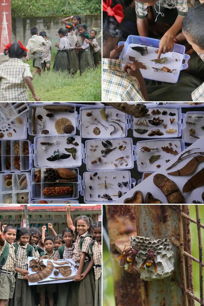 Collage of schoolchildren exploring specimens, playing outdoors and holding a seed display